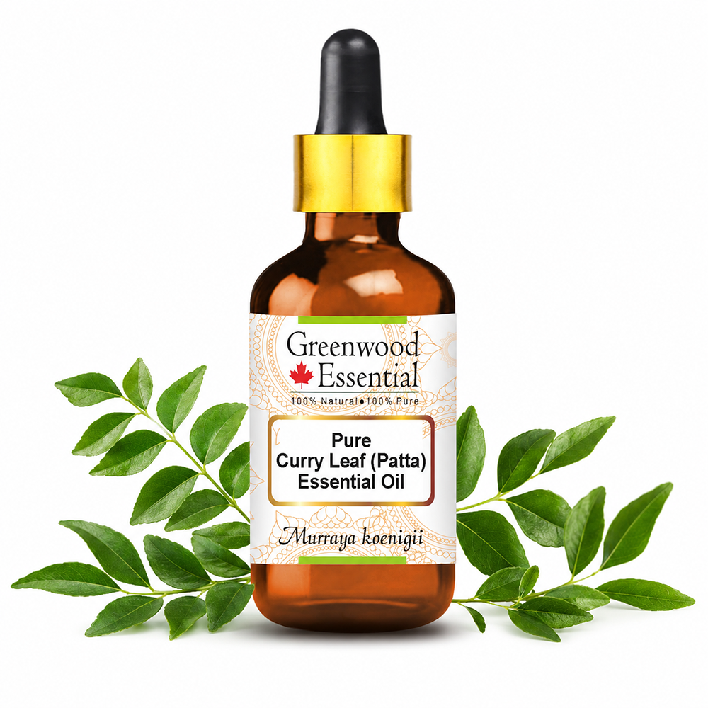 Curry Leaf (Patta) Essential Oil (Murraya koenigii)