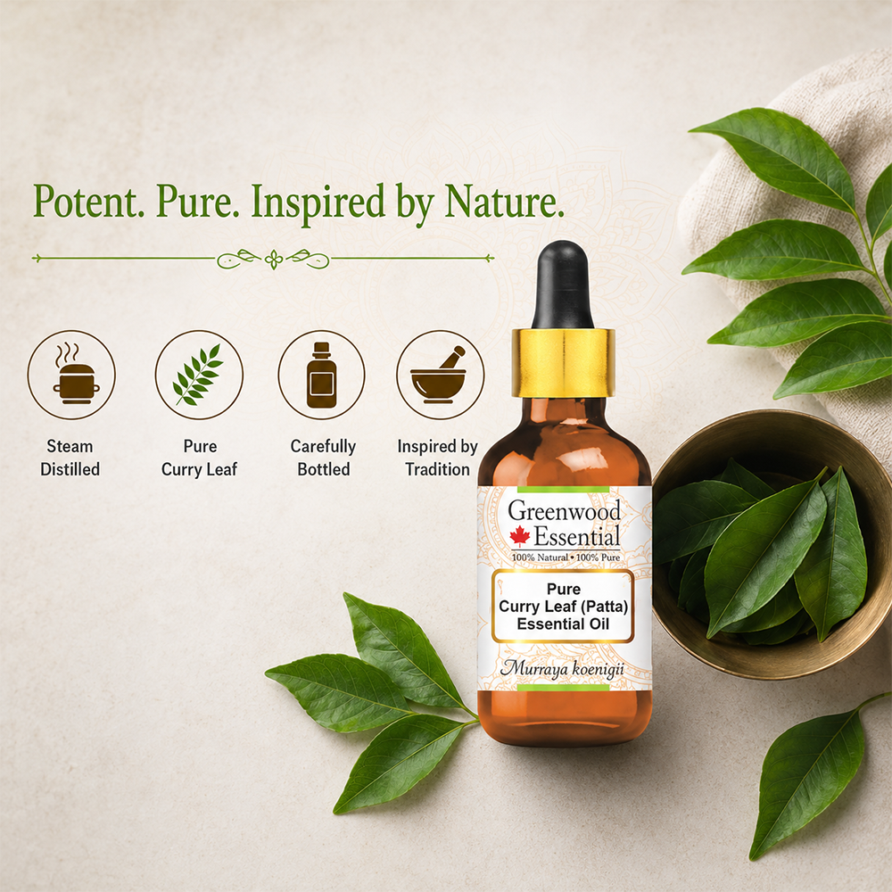 Curry Leaf (Patta) Essential Oil (Murraya koenigii)