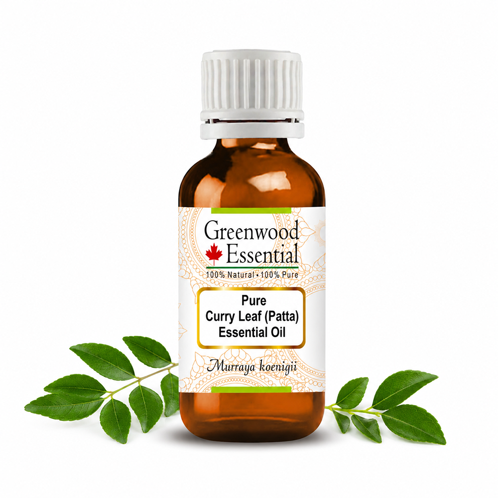 Curry Leaf (Patta) Essential Oil (Murraya koenigii)