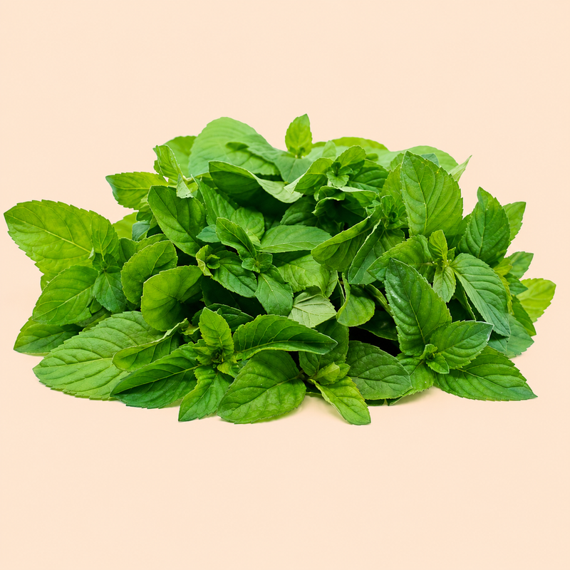 Bergamot Mint