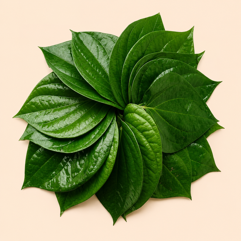 Betel Leaf