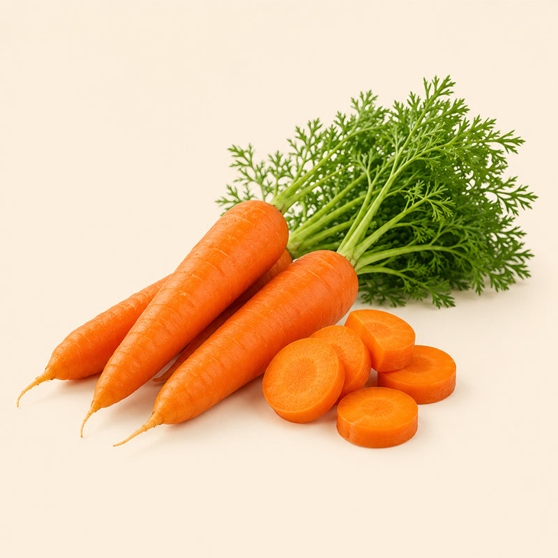 Carrot