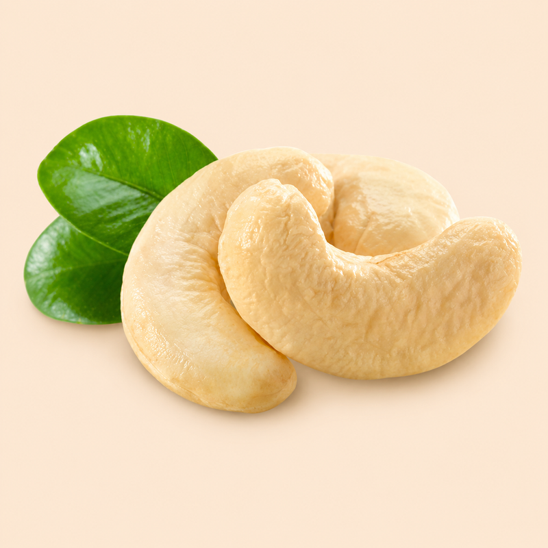 Cashew Nut