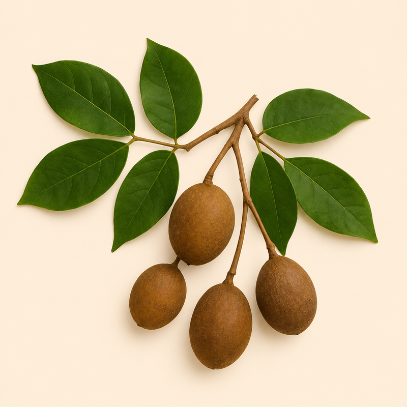 Copaiba