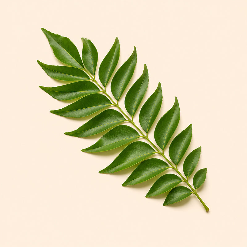 Curry Leaf