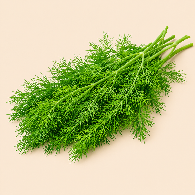 Dill
