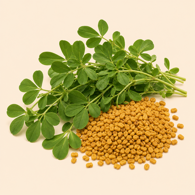 Fenugreek