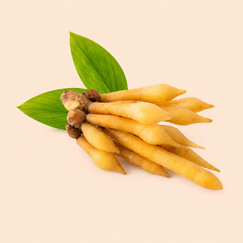 Finger Root