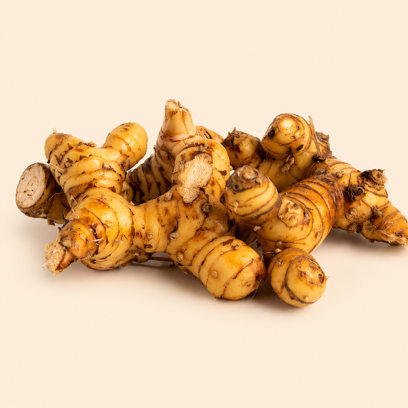 Galangal Root