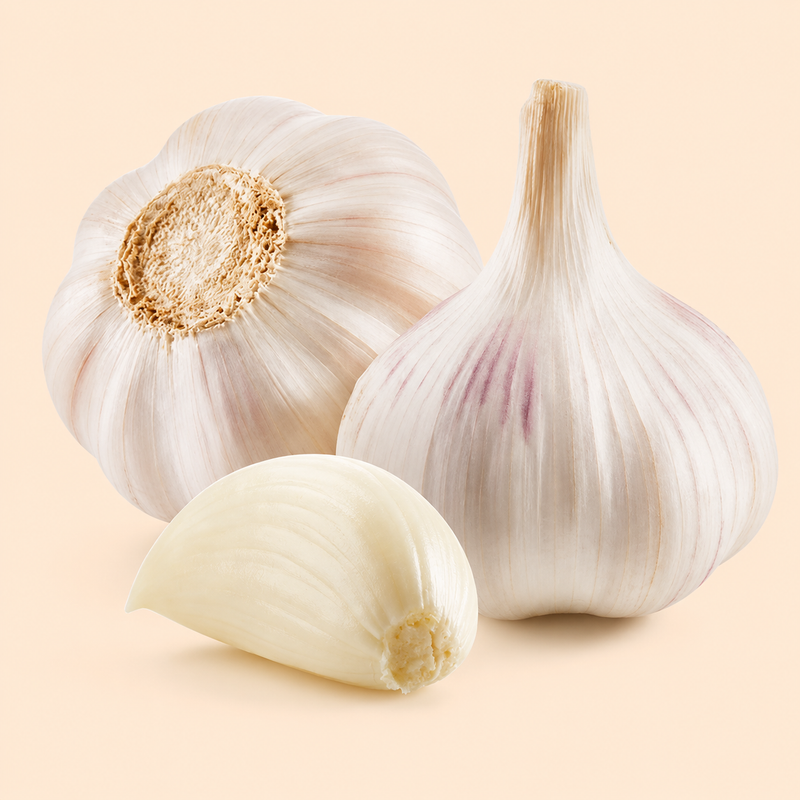 Garlic