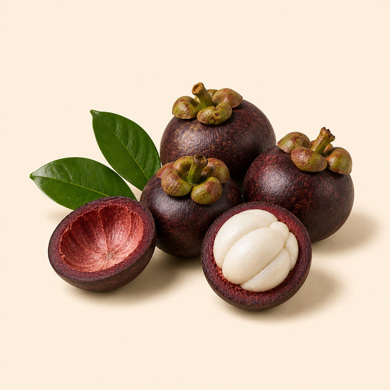 Kokum butter