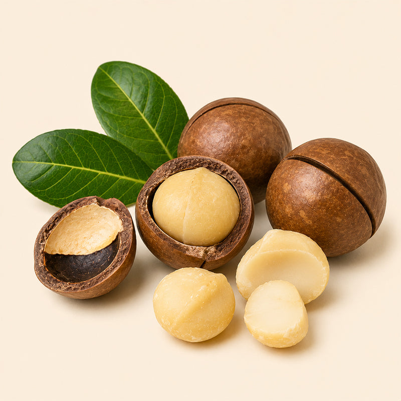 Macadamia