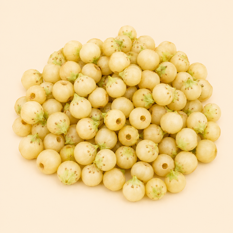 Madhuca Indica
