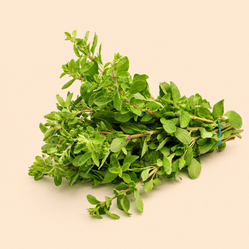 Marjoram