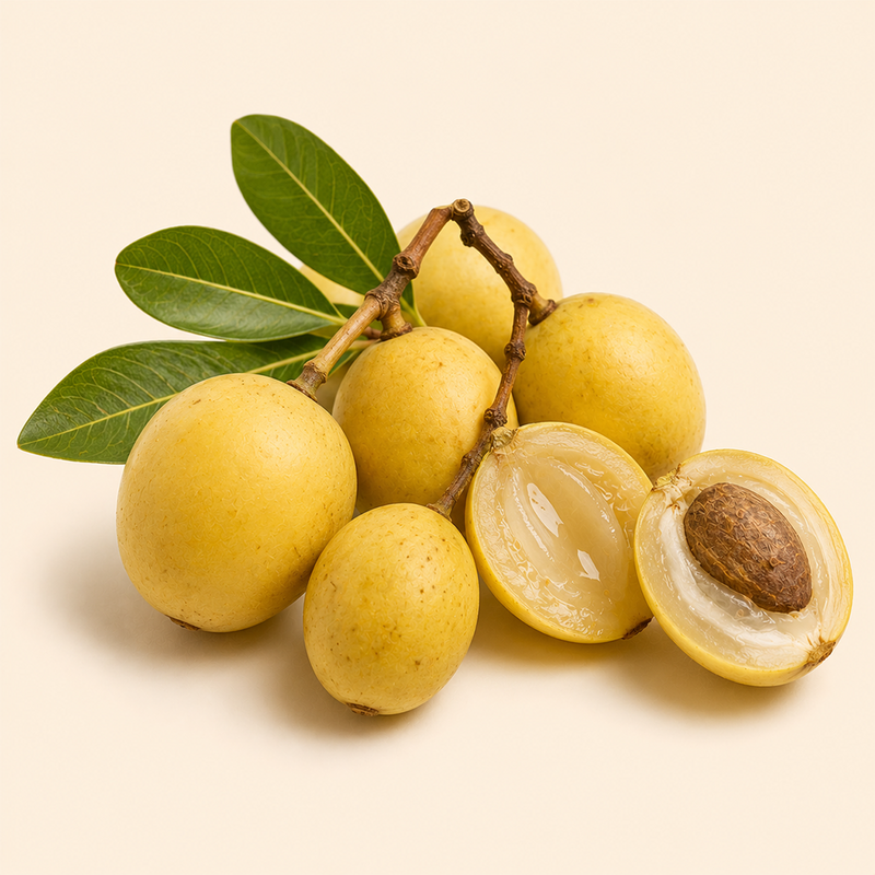 Marula