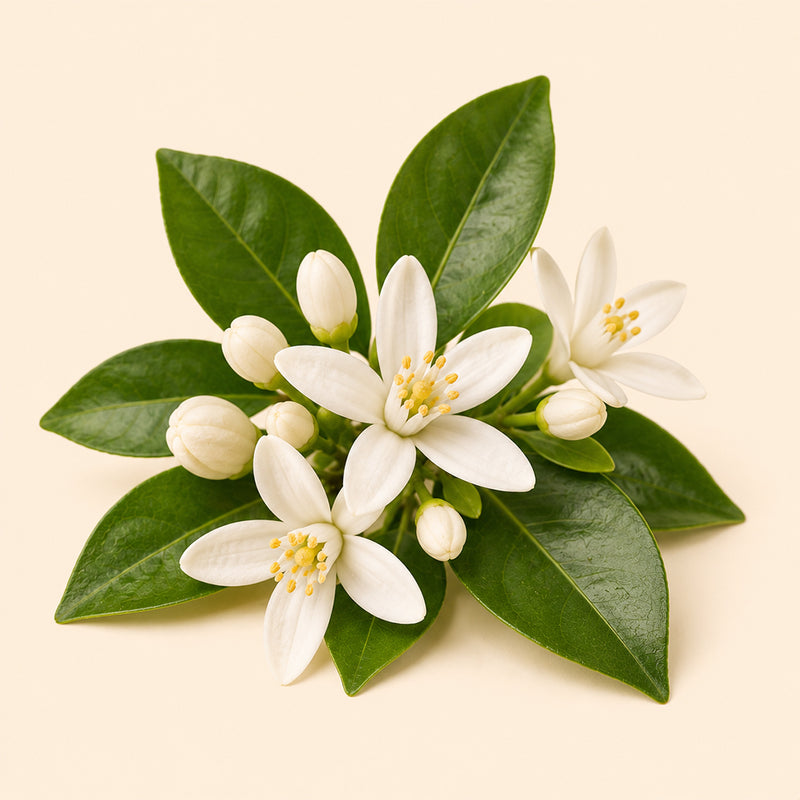 Neroli