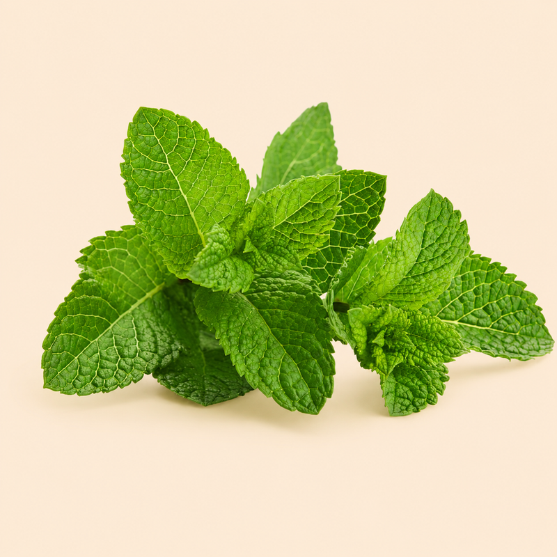 Peppermint