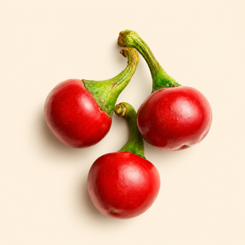 Pimento