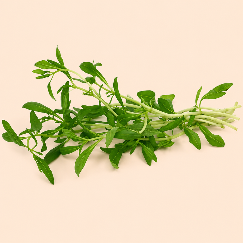 Savory Summer