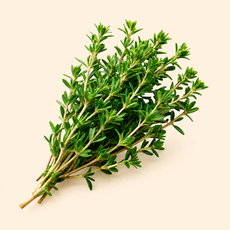 Thyme