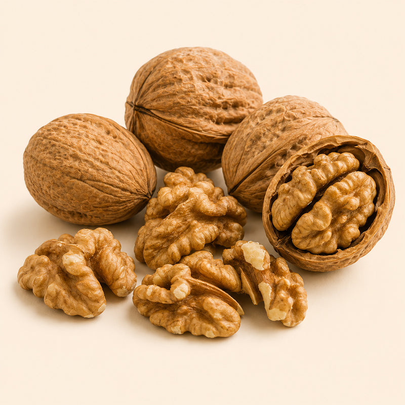 Walnut