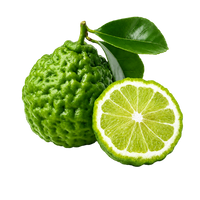 Bergamot
